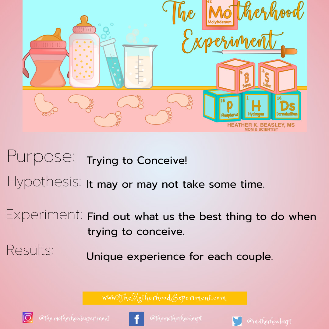 Trying To Conceive (TTC) , Part I – The Motherhood Experiment, LLC